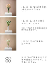 ハナプロ(HANAPRO) 生花 花束 スモール 花のプロが厳選 季節の切花【大田市場直送】