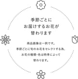 ハナプロ(HANAPRO) 生花 花束 レギュラー 花のプロが厳選 季節の切花【大田市場直送】
