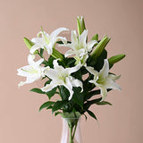 ハナプロ(HANAPRO) ユリ 生花 花束 リッチ 花のプロが厳選 【大田市場直送】 白系